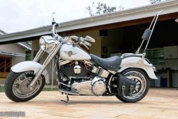  Sissybar Harley Davidson Hd-fat Boy E Heritage Easy Rider 